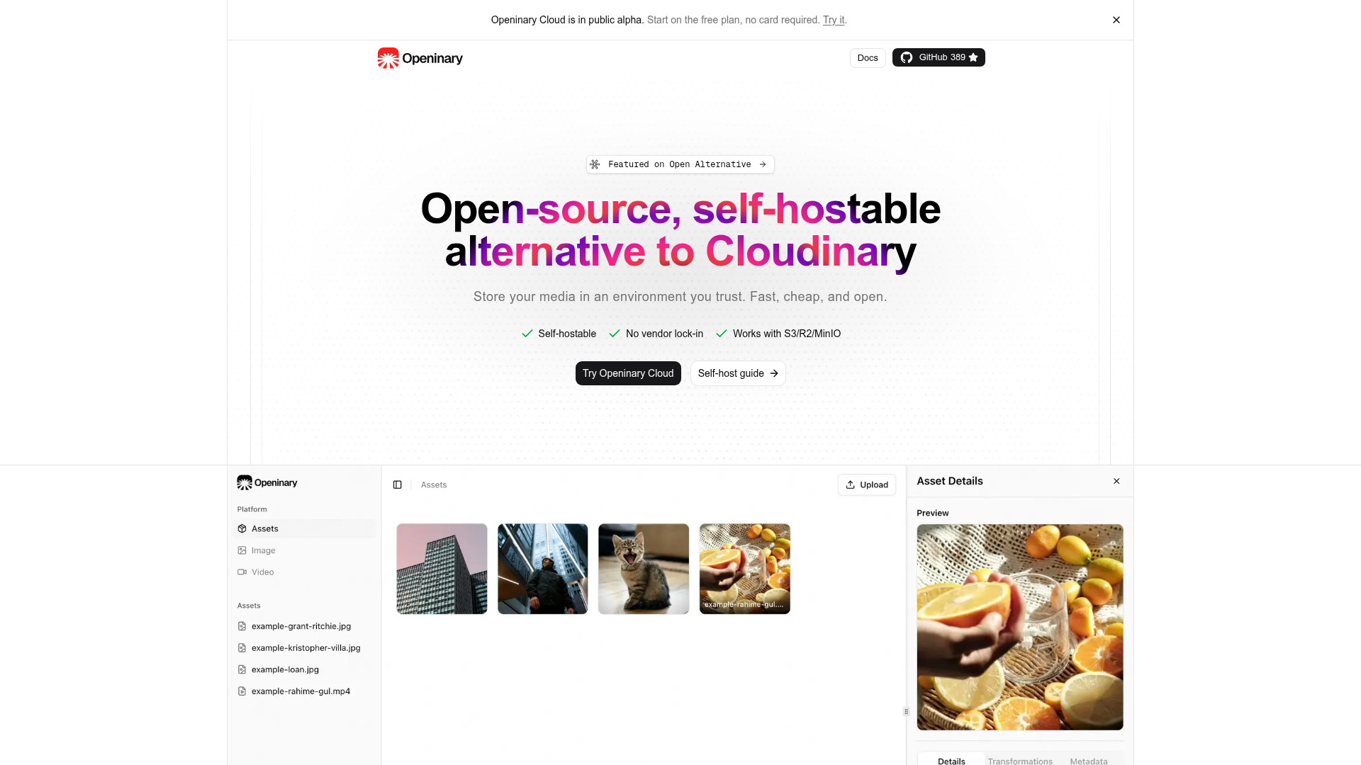 Openinary preview